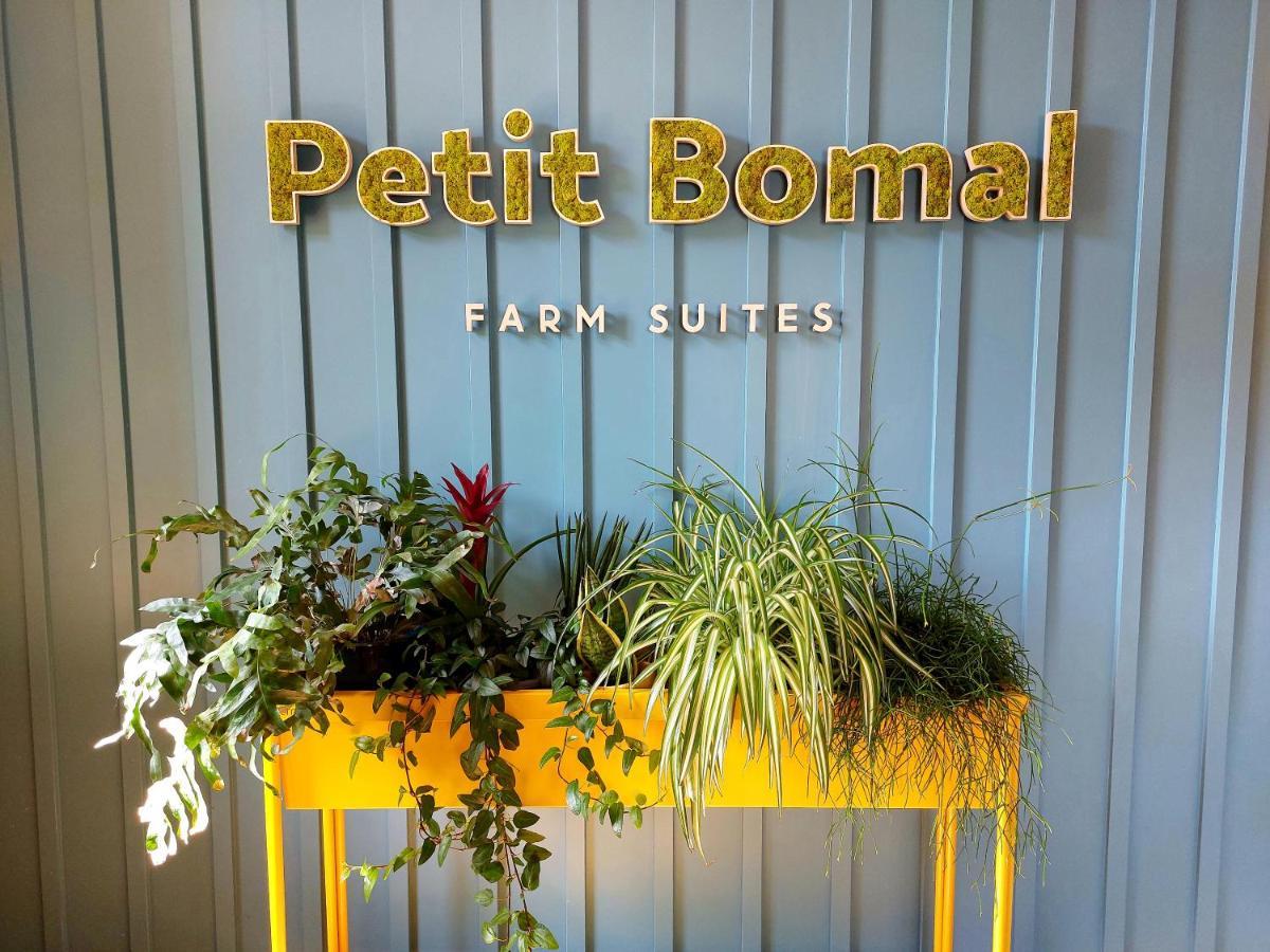 דורבורי Les Suites De Petit Bomal מראה חיצוני תמונה